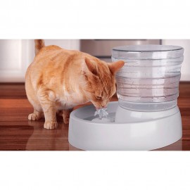 Auto-Flow Pet Fountain - Envío Gratuito