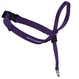 Collar Gentle Leader: Morado - Envío Gratuito
