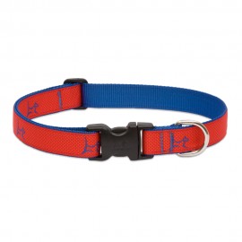 Collar 1" Derby Red - Envío Gratuito