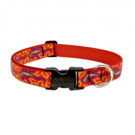 Collar 1" Go Go Gecko - Envío Gratuito