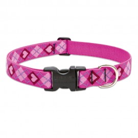 Collar 1" Puppy Love - Envío Gratuito