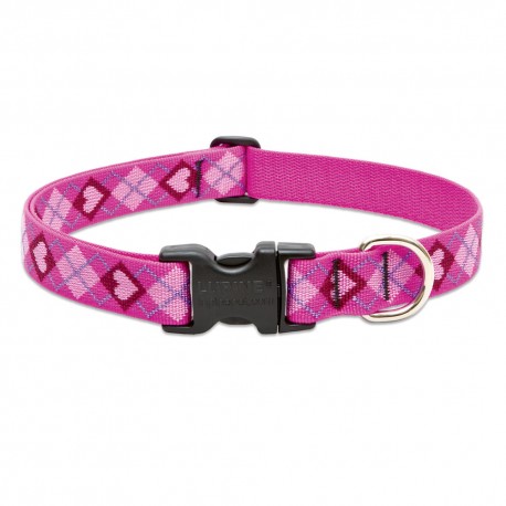 Collar 1" Puppy Love - Envío Gratuito