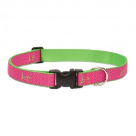 Collar 1" Bermuda Pink - Envío Gratuito