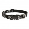 Collar 1" Bling Bonz