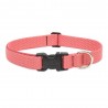 Collar 1" Coral