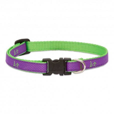 Collar 1/2" Hampton Purple - Envío Gratuito