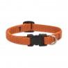 Collar 1/2" Pumpkin