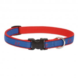 Collar 3/4" Newport Blue - Envío Gratuito