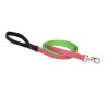 Correa 3/4" Bermuda Pink