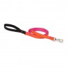 Correa 3/4" Sunset Orange