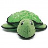 Rispshell - Turtle