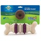 Hueso Busy Buddy Bristle - Envío Gratuito