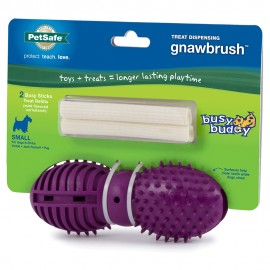 Busy Buddy Gnawbrush - Envío Gratuito