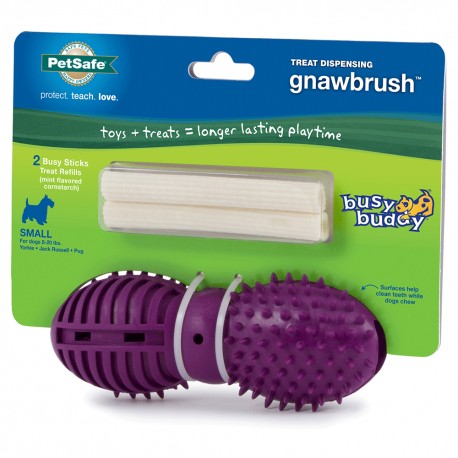 Busy Buddy Gnawbrush - Envío Gratuito