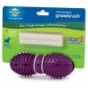 Busy Buddy Gnawbrush