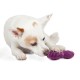 Busy Buddy Gnawbrush - Envío Gratuito