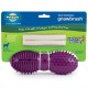 Busy Buddy Gnawbrush - Envío Gratuito