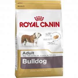 Bulldog Adult - Envío Gratuito