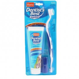 Kit Dental Oral Care - Envío Gratuito