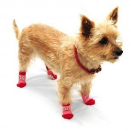 Calcetines para Perro Traction Control Socks Mediano - Envío Gratuito