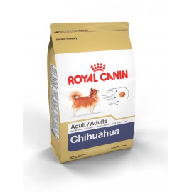 Chihuahua 28 Adult - Envío Gratuito