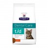 Dental t/d