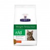 Sobrepeso r/d - Gato