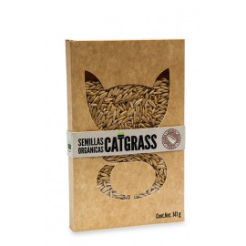Semillas Catgrass Orgánico - Envío Gratuito