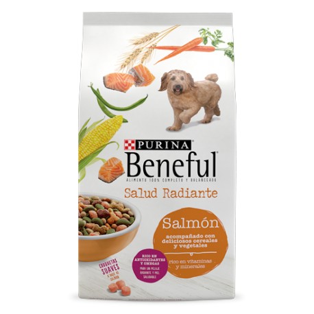 Beneful Adulto Salud Radiante 7.5 kg - Envío Gratuito