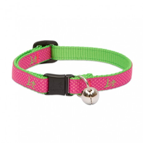 Collar con Cascabel 1/2" Bermuda Pink - Envío Gratuito