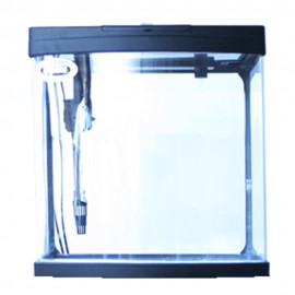 Kit de Acuario Rectangular - Envío Gratuito