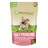Daily Probiotic Perro
